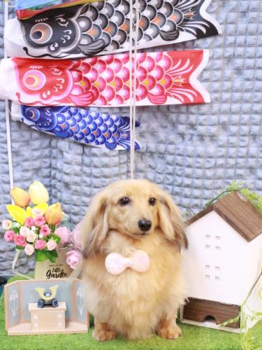 20230507モカちゃん